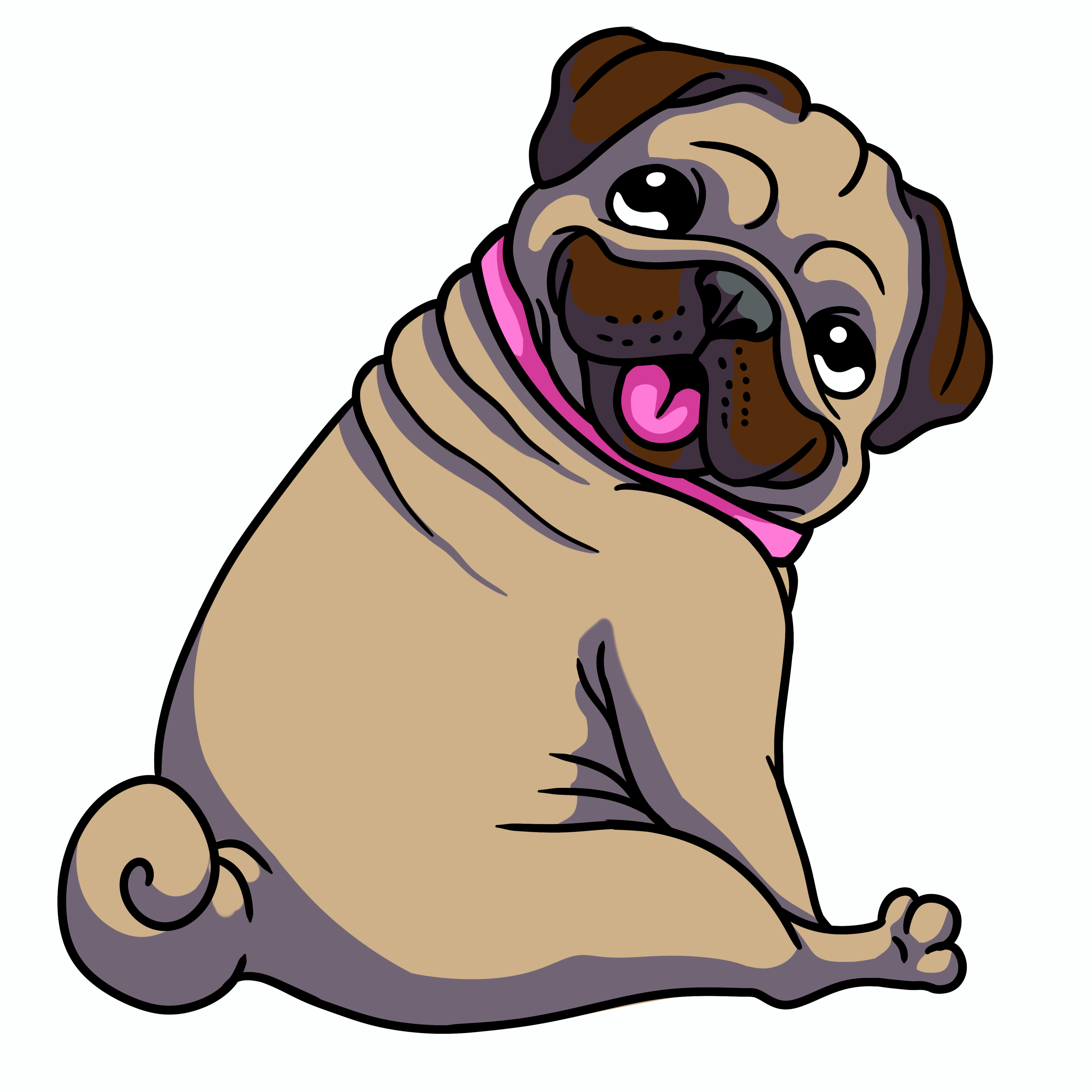 Pug puppy at Colorado Dog Days event