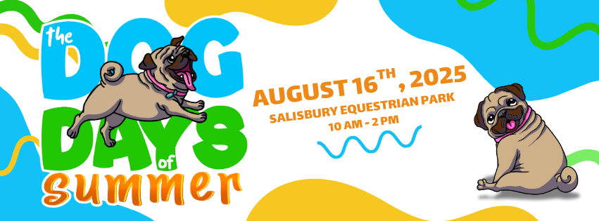 Dog Days Banner
